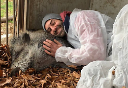 Se la migliore amica dell'uomo è una maialina