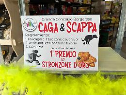 Fai cagare il tuo cane davanti ai negozi e vinci un premio!