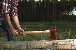 Taglialegna abbatte una quercia secolare da tartufi e si ferisce