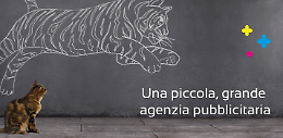Comune: 40 mila euro a Eikonos per “comunicazione istituzionale”