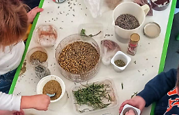 Laboratori per i bambini in biblioteca