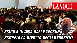 Scuola invasa dalle zecche: dopo il Fermi chiude anche il Galilei
