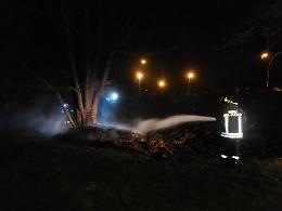 Cittadino sventa un incendio in un bosco
