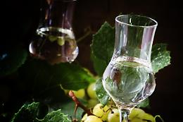 I Millennial preferiscono la GRAPPA