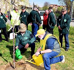 Legambiente alla Andersen   per piantare alberi del futuro (FOTO)