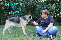 A.A.A. cercansi casa, famiglia e tanto amore per i cani di "Balto"