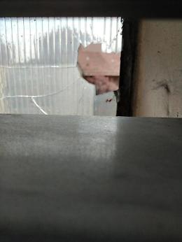 Baby gang prende a sassate i vetri della scuola
