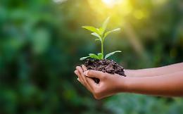 Azienda in collina produce detersivi: premiata a livello europeo per la sostenibilità ambientale