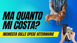 Il veterinario costa caro: 85 euro per la prima visita!