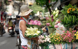 Colori, profumi e tutto lo splendore della primavera per Ciriè in Fiore