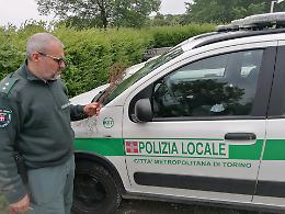 Sequestrati 42 lacci illegali per la cattura di selvaggina
