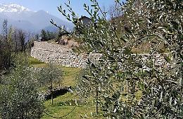 Domenica 4 giugno c'è la Sagra dell’Olio Valsusa