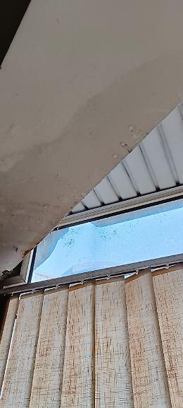 Piove dentro la biblioteca, serve l'ombrello?