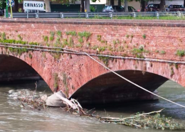La piena porta detriti e tronchi sotto le arcate del ponte