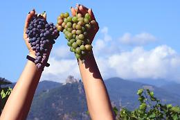 Ad Almese si fa festa con il vino baratuciat