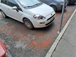 PERICOLO PER I CANI: polvere di peperoncino nel parcheggio per tenerli lontani