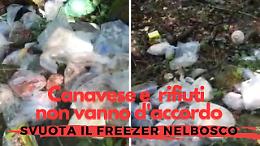 Ancora scarico abusivo di rifiuti: svuota il freezer di casa nel bosco 