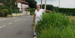 Scoppia la protesta in borgata Santanni: "Sindaco, coi soldi delle multe, taglia l'erba!"