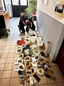 Torino sotto shock: Commerciante di 56 anni arrestato per traffico di droga