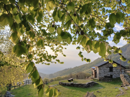 Un'intera giornata nella natura, immersi in uno scenario mozzafiato, fra parole, cibo, libri, teatro e canti