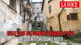 Nelle case del Comune degrado e topi: i residenti chiedono aiuto (VIDEO)
