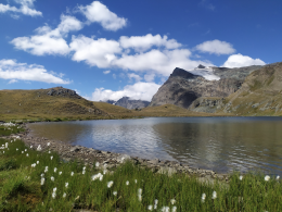 Pillole di natura: Noasca (12 agosto)