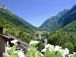 Pillole di natura: Rhemes Saint Georges