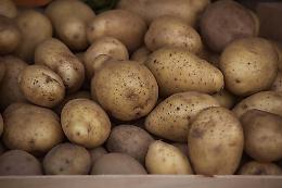 Sagra della patata a Ceretti: Un'esplosione di tradizione, cibo e divertimento