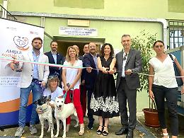 Aperti veterinari per gli animali   delle famiglie in difficoltà