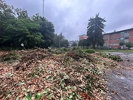 Aree sfalci o paludi? La consigliera del Pd Bolzanello le ha fotografate