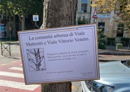 Protesta in città: muore un albero, gli fanno il "funerale" (VIDEO)