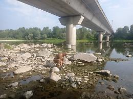 Ponte riaperto: non era una bomba ma un proiettile di artiglieria