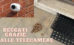 Cacche di cane non raccolte e danni ai beni pubblici: beccati grazie alle telecamere 