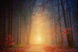 L'alba