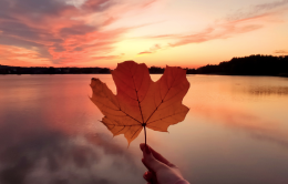 "I Colori di Settembre" al Bertagnolio