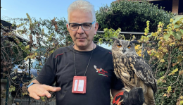 Tragedia di Caselle: le parole del falconiere che allontana gli uccelli dall'aeroporto