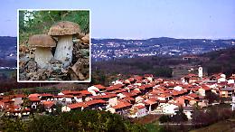 A Cossano Canavese torna la Sagra del Fungo, con agricoltura, enogastronomia, cultura e ambiente