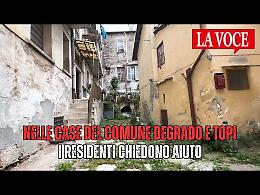 Degrado e topi nelle case del Comune: "Gli inquilini abbandonano i rifiuti in cortile"