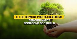 “Un albero per ogni nato”: a Chivasso sarà stato contemplato?