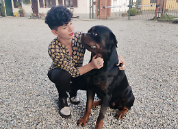 "Il mio povero Gringo!". Il cane rottweiler della consigliera Bessolo è stato sedato in giardino 