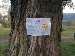 “Voi siete malati!”: si riaccende la polemica per gli alberi tagliati al parco
