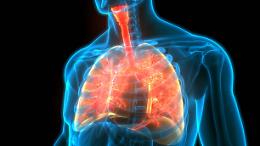 Ciclamini in tour, la  seconda tappa canavesana per sostenere la ricerca sulla Fibrosi Cistica 