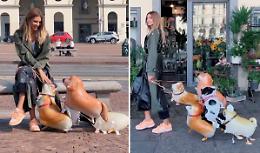 Che ci fa l'ex Miss Italia Chiabotto a spasso per Torino con cinque cani di plastica?