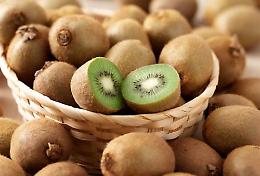 Bibiana si prepara a festeggiare la 24ª Sagra del Kiwi: musica, cibo e divertimento