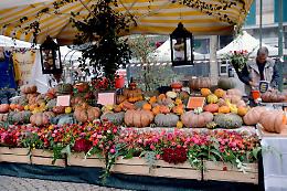 Arte, musica e tante prelibatezze alla corte di sua maestà la Zucca!