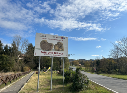 Un successo per la Fiera del Tartufo Bianco: 8mila persone in 3 giorni 