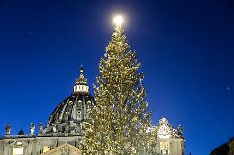 L'Albero di Natale di Papa Francesco arriva dal Piemonte