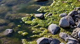 I 5 laghi stanno morendo... Ecco il piano ...