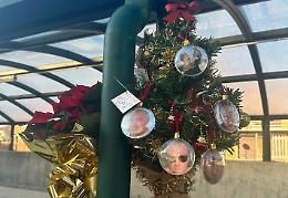 Un albero di Natale per le vittime della strage ferroviaria: "Presto un monumento"