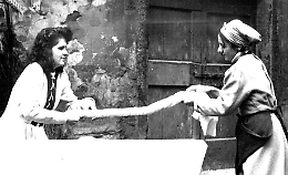 Teppisti, che vergogna! Se la prendono anche con le lavandaie